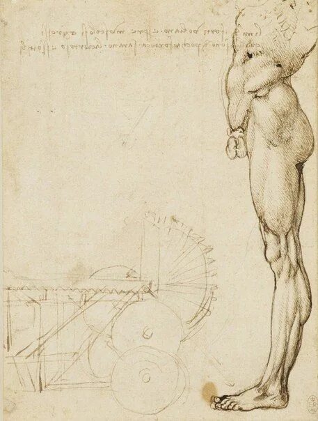 Работы да винчи фото Leonardo da Vinci Leonardo da vinci, Disegno di anatomia, Arte