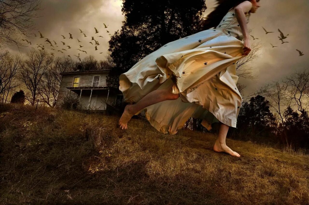 Работы фотохудожников фото Tom Chambers - Winged Migration Photography portfolio, Photography, Magazine art