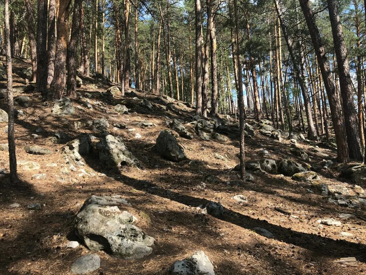 Рачеевские альпы самарской области фото Рачейские Альпы в Самарской области Обзор самарской Швейцарии со скалами необычн