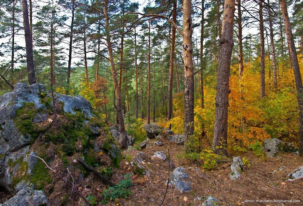 Рачеевские альпы самарской области фото Панорамы Рачеевских альп: alexio_marziano - ЖЖ