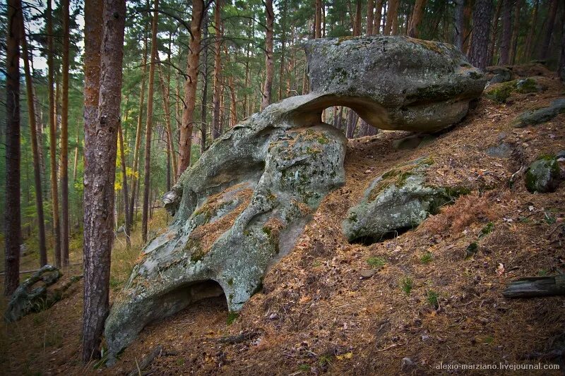 Рачеевские альпы самарской области фото Ульяновский фототур в Рачеевские альпы стал международным: alexio_marziano - ЖЖ