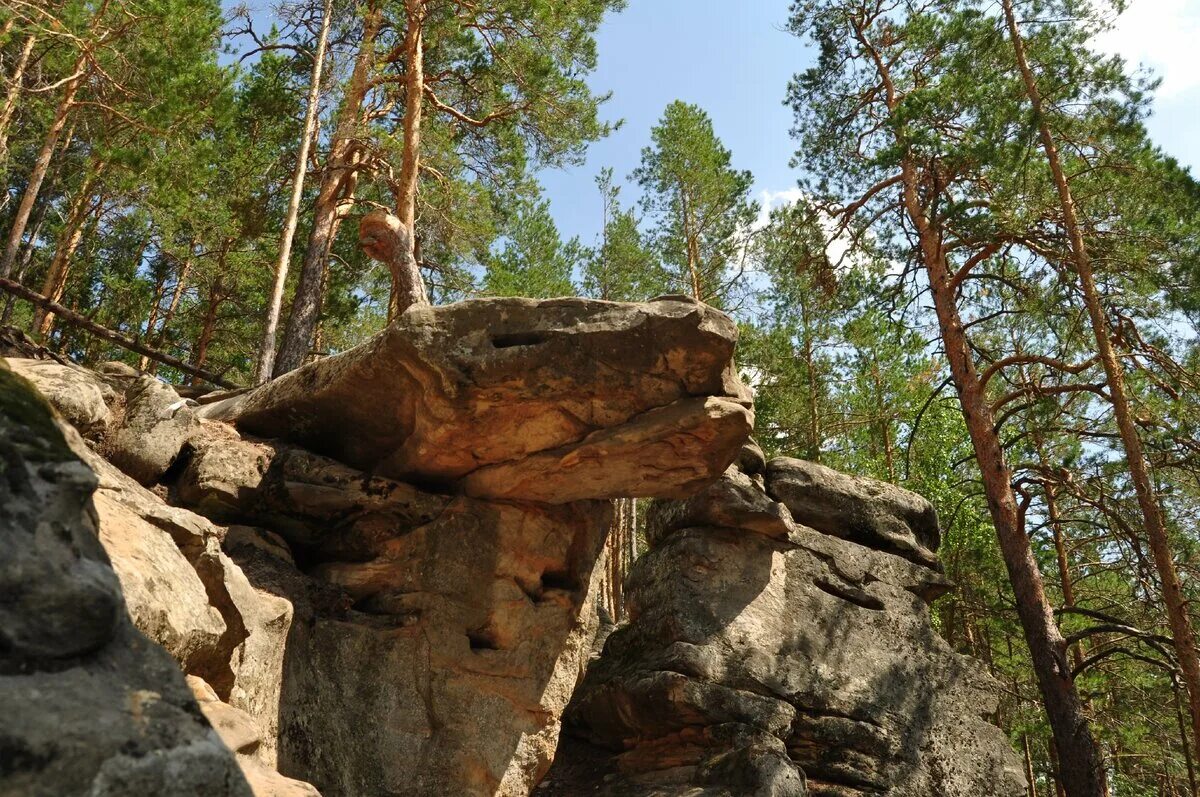 Рачеевские альпы самарской области фото Рачейские альпы. Уникальный лес в Самарской области ⠀ Покажите мне мир ✈ Дзен