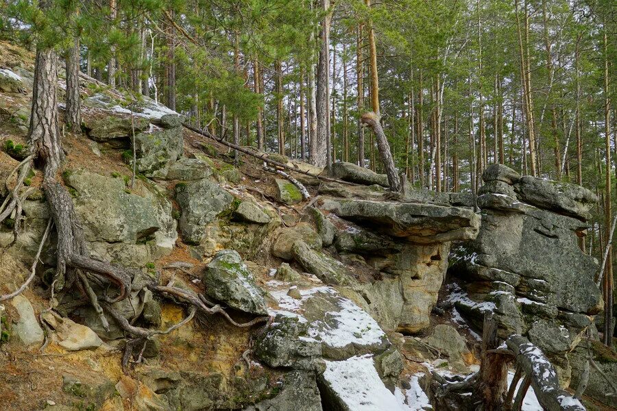 Рачеевские альпы самарской области фото Рачейские Альпы - ценный памятник природы Самарской области будет "охранять" нов