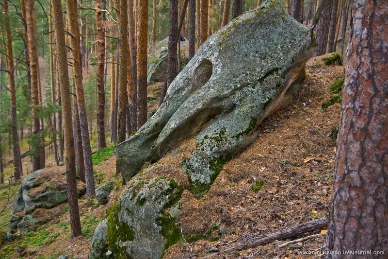 Рачеевские альпы самарской области фото Ульяновский фототур в Рачеевские альпы стал международным: alexio_marziano - ЖЖ