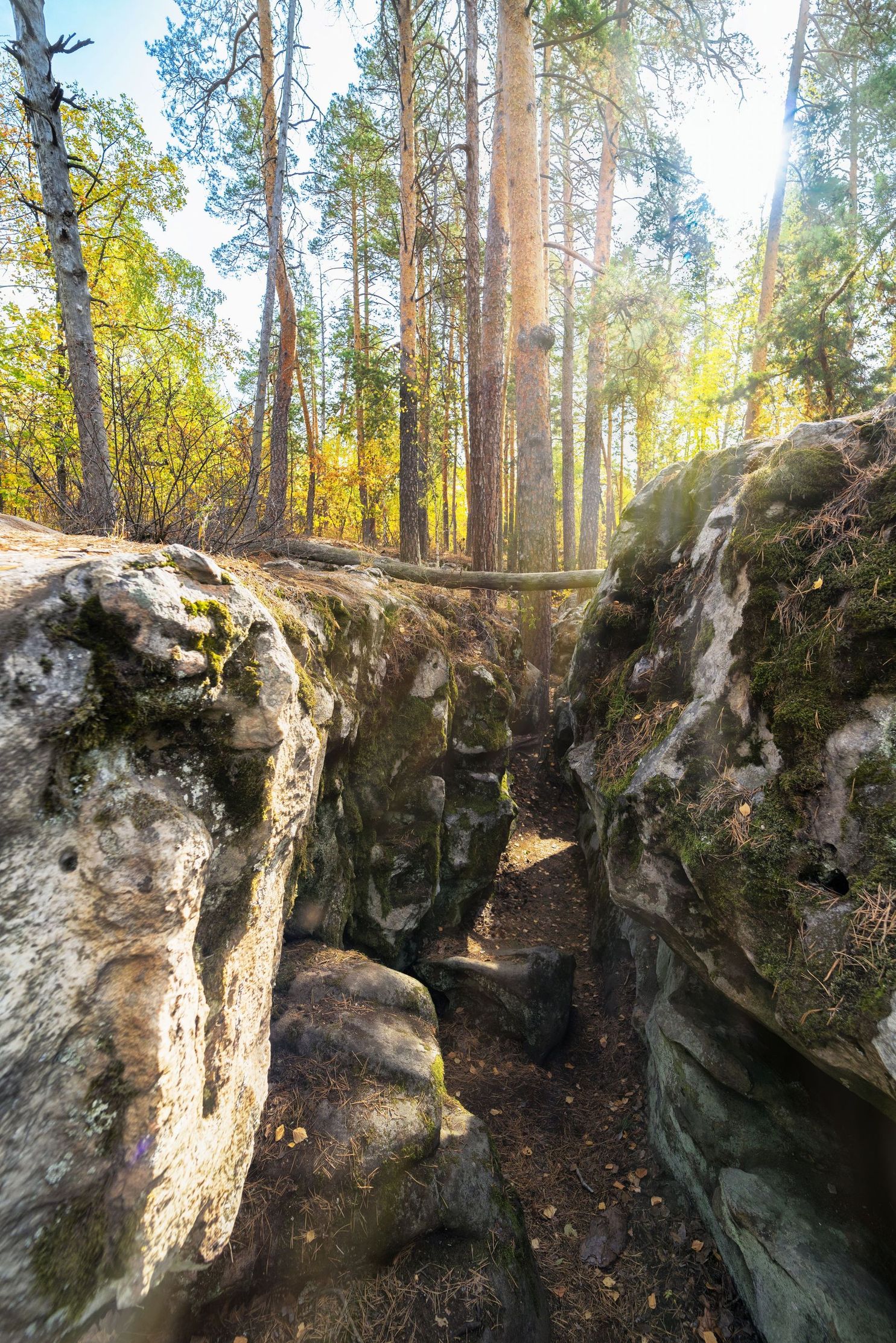 Рачейские альпы самарская фото Лабиринт из камней, вековые сосны и качели над лесом. Что смотреть в Рачейских А