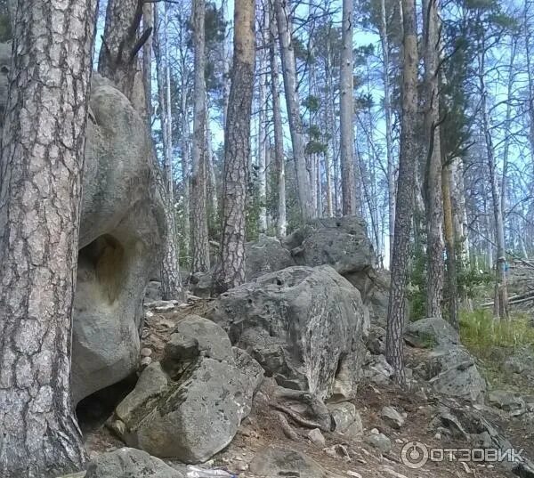 Рачейские альпы самарская фото Отзыв о Экскурсия "Рачейские скалы (Альпы)" (Россия, Самарская область) необычно