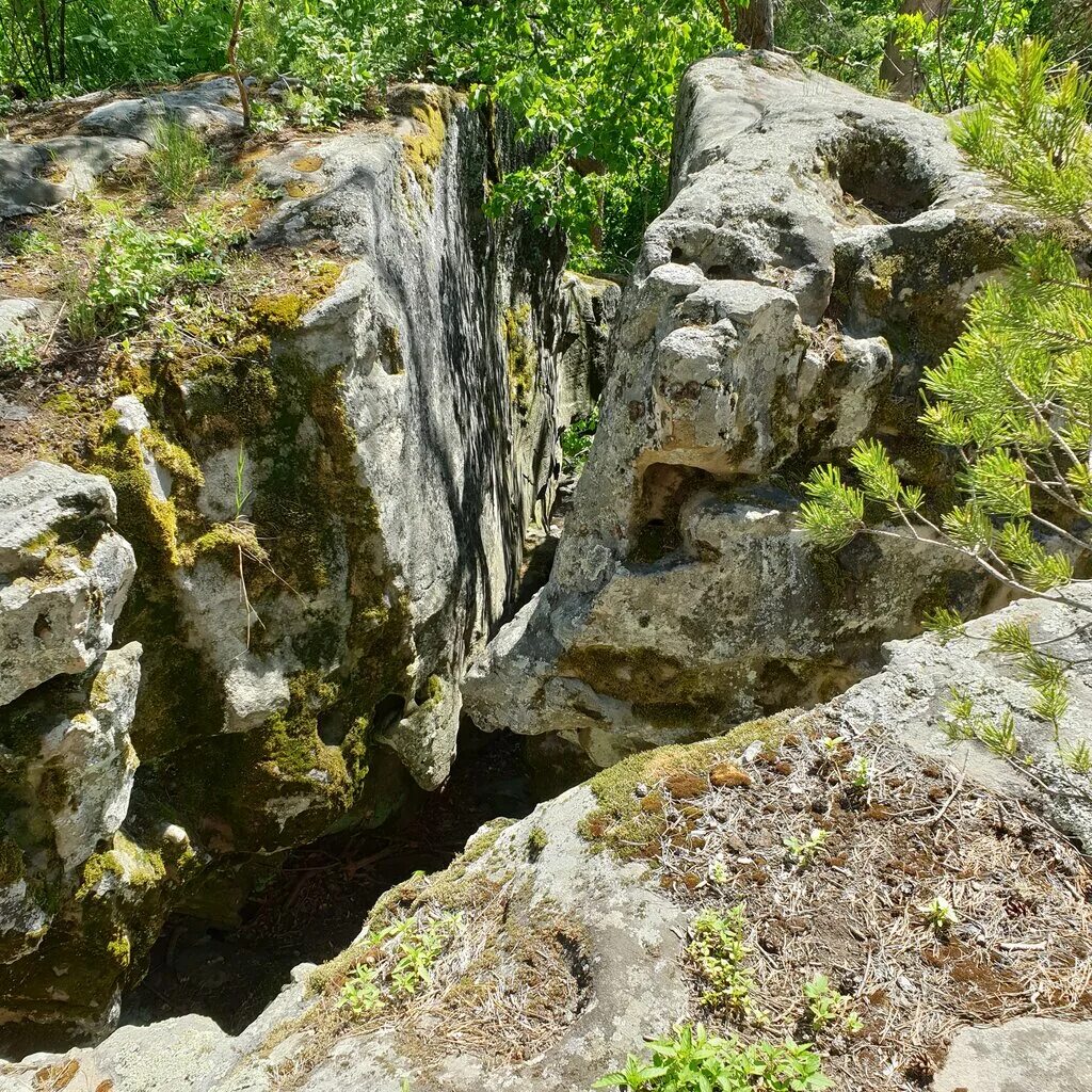 Рачейские скалы самарская область фото памятник природы Рачейские скалы, nature preserve, Russia, Samara Region, Syzran