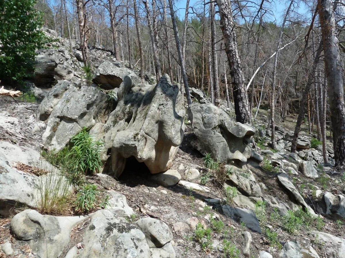 Рачейские скалы самарская область фото Рачейские скалы (Каменный лабиринт) - природный заповедник в Самарской области