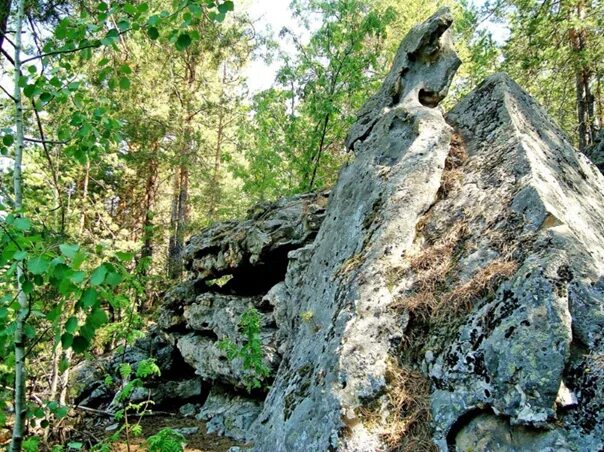 Рачейский бор самарская область фото Достопримечательности Самарской области Рачейский бор Расположение: Самарская об