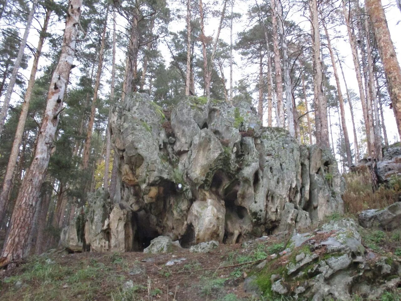 Рачейский бор самарская область фото Каменный Лес. Рачейский бор, Самарская область, Сызранский район - DRIVE2