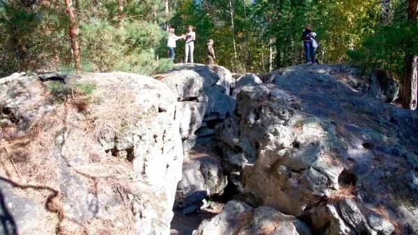 Рачейский бор самарская область фото Индивидуальная экскурсия: Рачейский бор и Каменный лабиринт в Тольятти