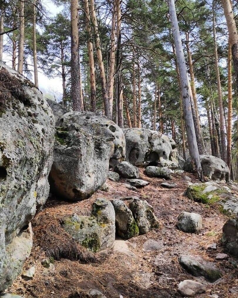 Рачейский бор самарская область фото Рачейский бор самарская область фото YugNash.ru