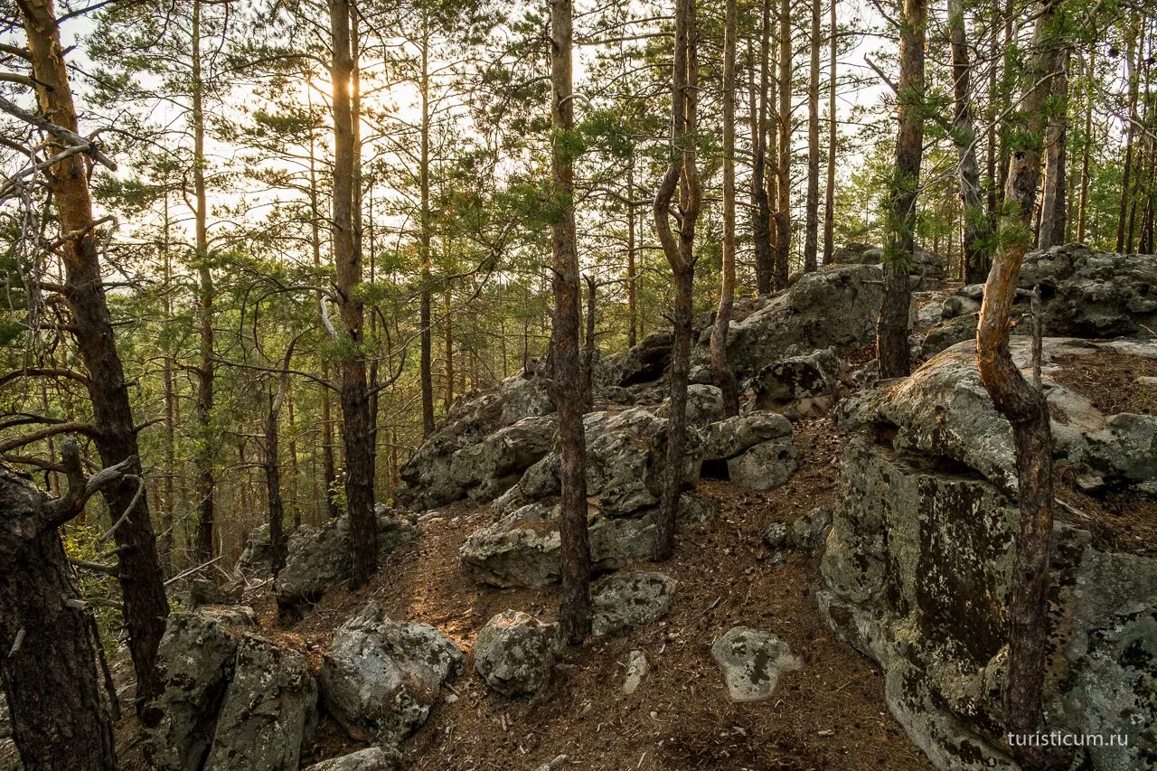 Рачейский бор самарская область фото Рачейская тайга, Семь ключей, скала Ладья Фото, Как доехать