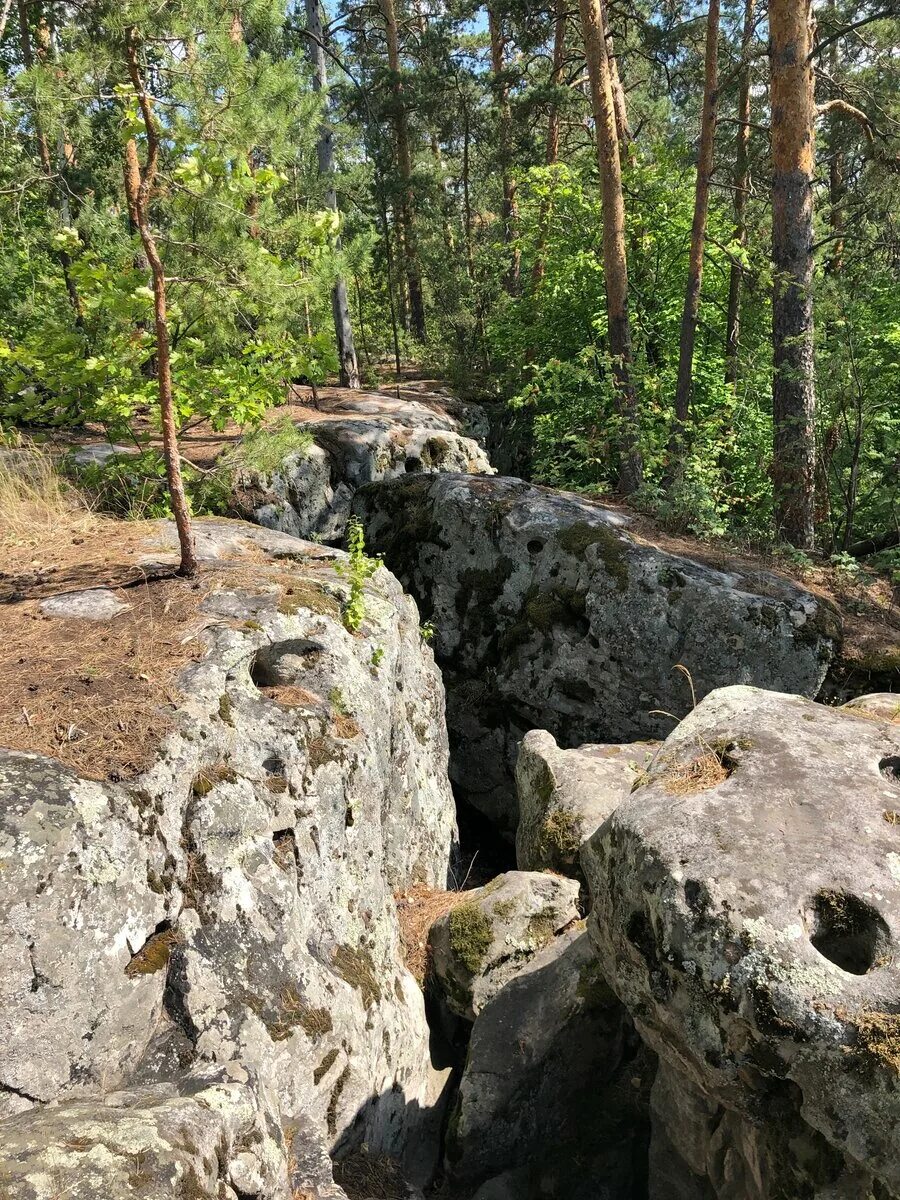 Рачейский бор самарская область фото Рачейские Альпы в Самарской области Обзор самарской Швейцарии со скалами необычн