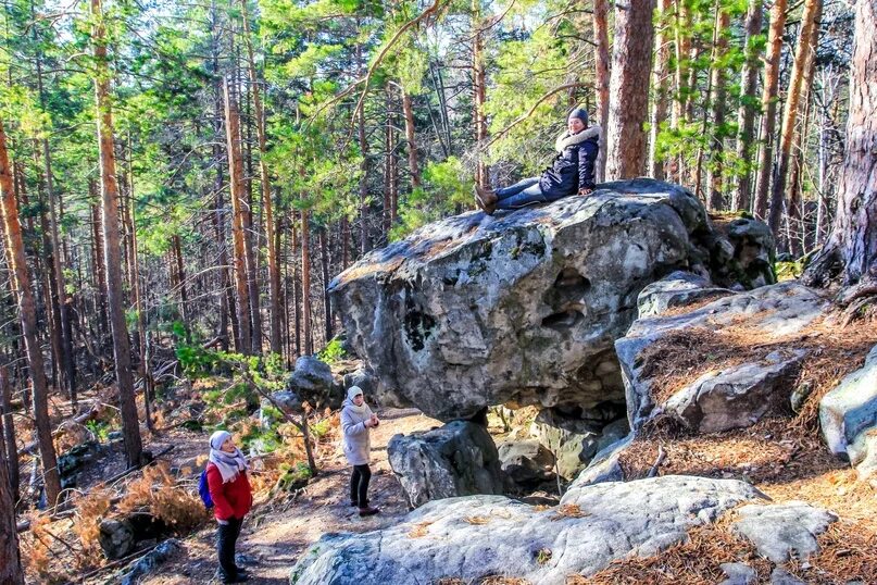 Рачейский бор самарская область осенью фото Рачейский Бор и водопад Девичьи слёзы Экскурсии в Самарской области ТУРЛАДА