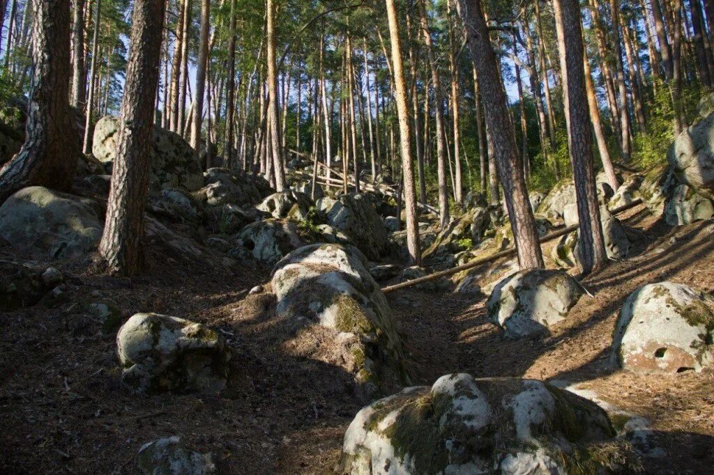 Рачейский бор самарская область осенью фото Карелия" в Самарской области