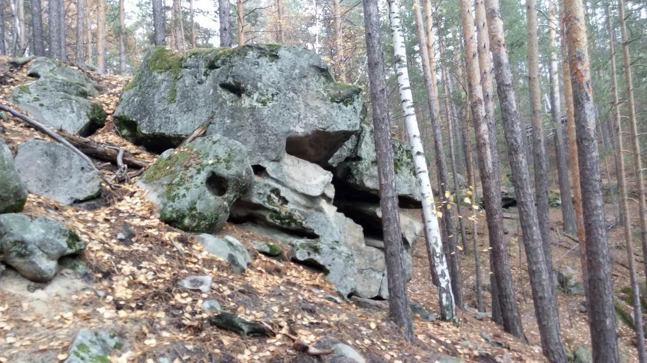 Рачейский бор самарская область осенью фото Каменный Лес. Рачейский бор, Самарская область, Сызранский район - DRIVE2