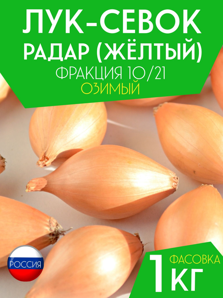 Радар описание сорта фото отзывы цена Лук Севок Недорого - купить в интернет-магазине OZON по выгодной цене