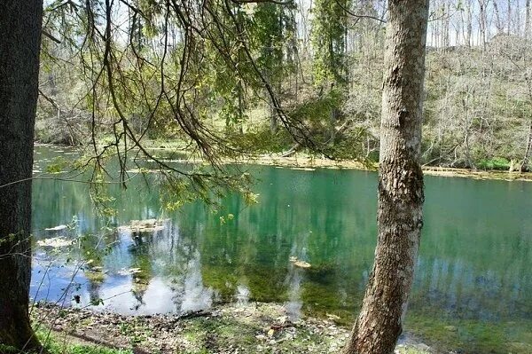 Радоновое озеро фото Природа под Петербургом: знаменитые Радоновые озёра