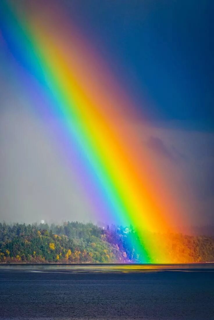 Радуга фото для детей по цветам Rainbow Dreamy Nature Beautiful nature, Nature photography, Nature