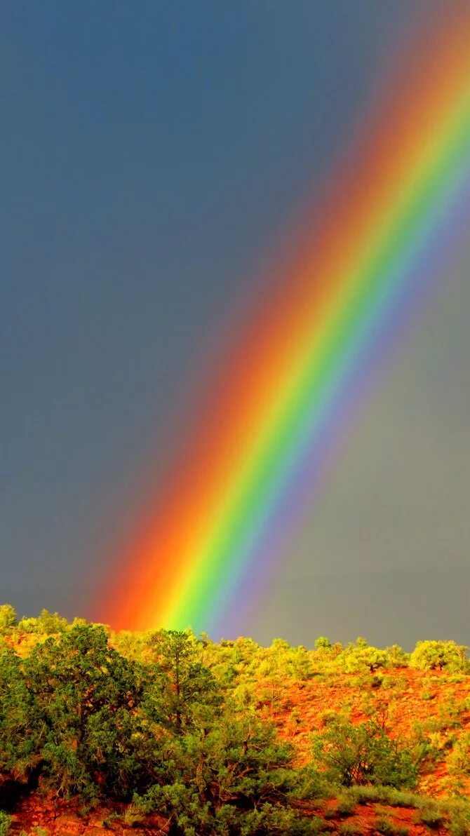 Радуга фото для детей по цветам Browsing Weather and Sky on deviantART Rainbow photography, Rainbow aesthetic, R