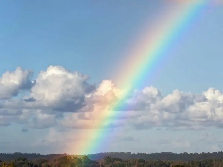 Радуга фото красивые в небе Rainbow in the sky. Rainbow sky, Blue sky wallpaper, Rainbow images