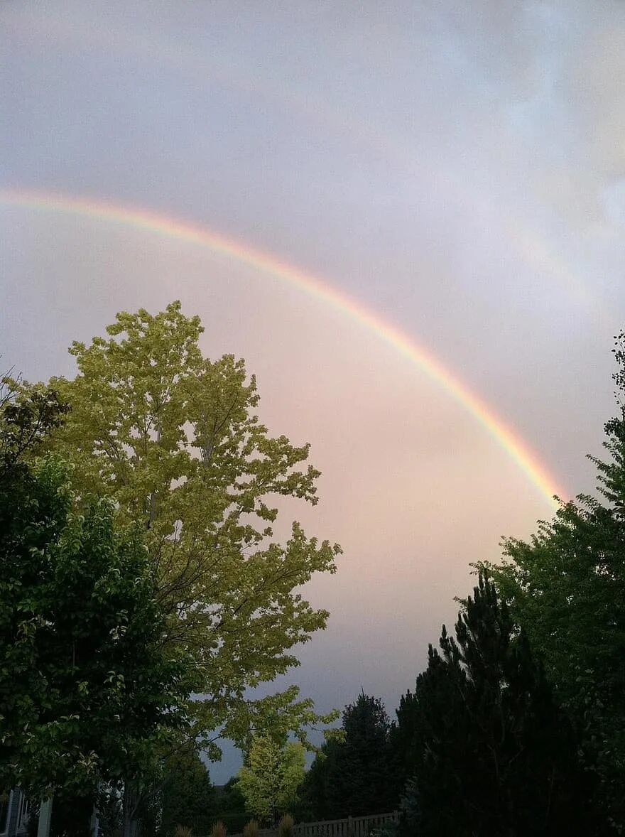 Радуга фото красивые в небе 33 Himmel Regenbogen Landschaft Regenbogen Cognisingbrains