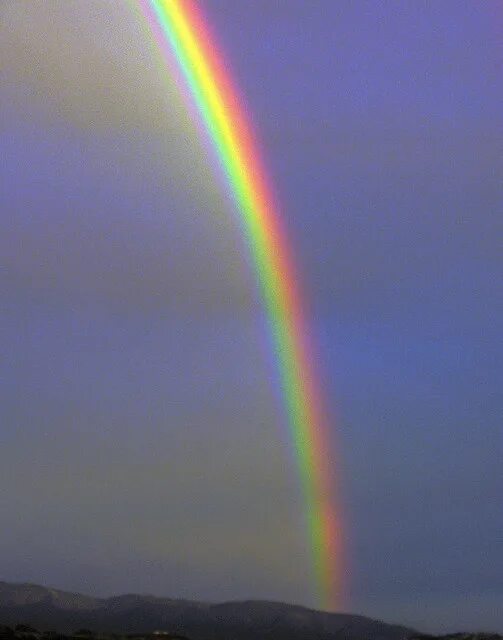 Радуга порядок цветов фото Wellington rainbow 1 - 23 April 2005 Rainbow, Over the rainbow, Natural landmark