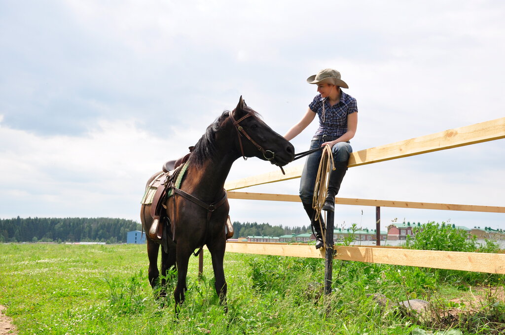 Радуга ул валовня 26 село озерецкое фото Raduga, horse riding, Россия, село Озерецкое, улица Валовня, 26 - Yandex Maps