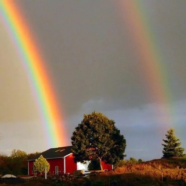 Радуга в домашних условиях фото Rainbows Rainbow rain, Rainbow sky, Rainbow pictures