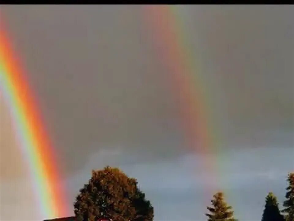 Радуга в домашних условиях фото RAINBOW - YouTube