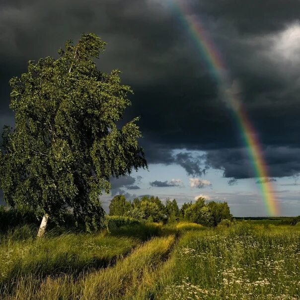 Радуга в небе после дождя фото There will be a storm 2023 Сохранила VK