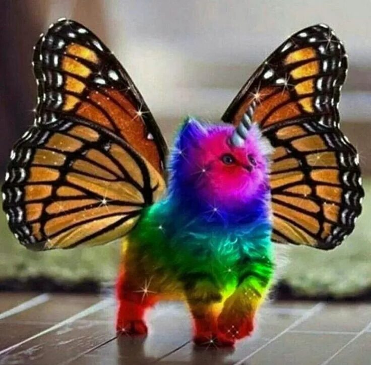 Радужная бабочка фото Pin by anisha herndon on Animals Rainbow butterfly unicorn kitten, Rainbow kitte