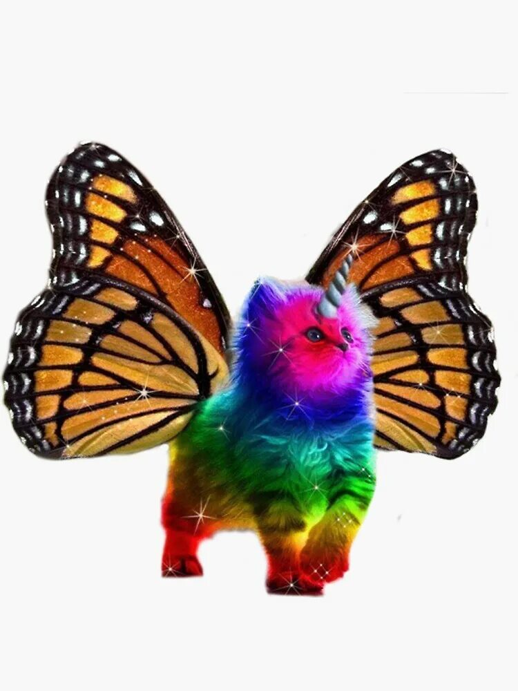 Радужная бабочка фото где обитает Rainbow Unicorn Butterfly Kitten Merch & Gifts for Sale Redbubble