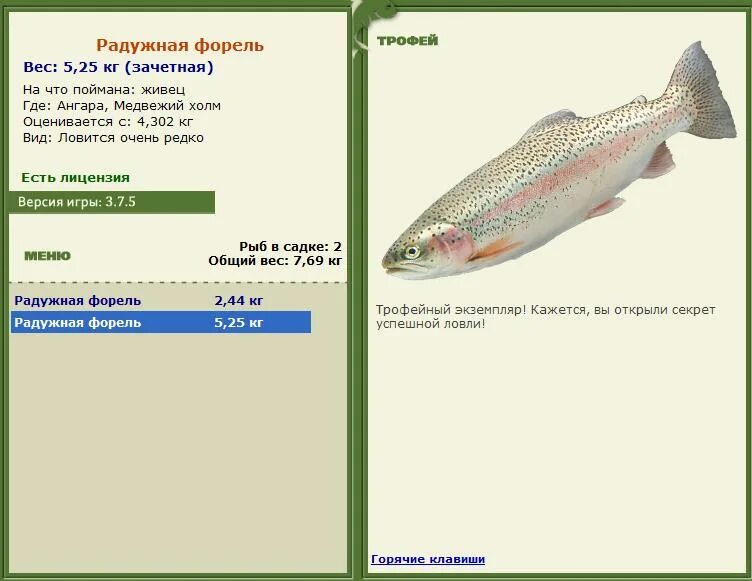 Радужная форель на что ловить турниры * РУССКАЯ РЫБАЛКА