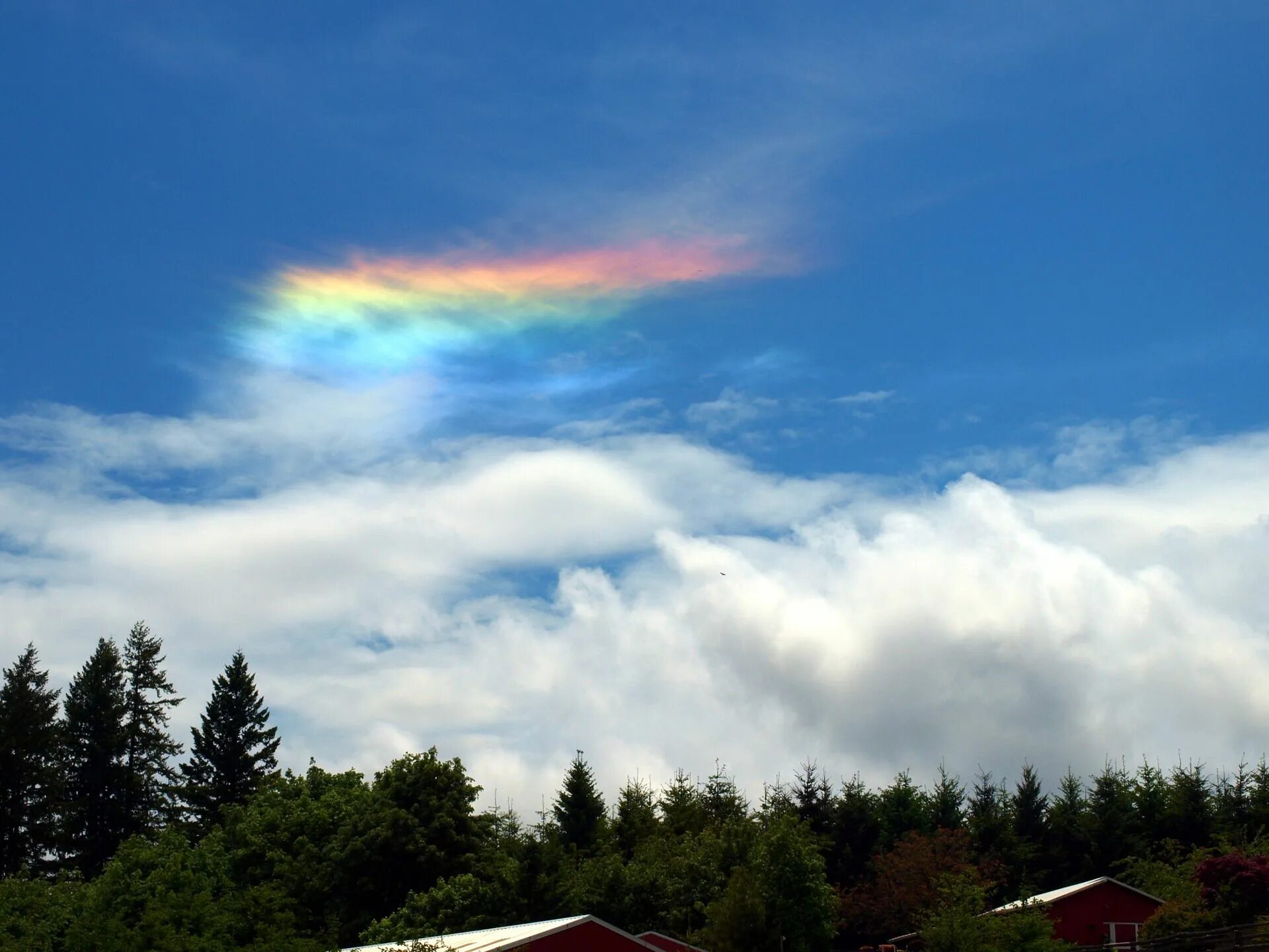 Радужные облака фото Rainbow without Rain: Exploring the Phenomenon of Circumhorizontal Arc