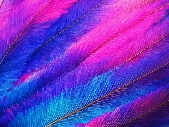 Радужные перья фото 10 Tie Dye Feather Extensions CRUELTY FREE emu with free beads Turquoise, Purple