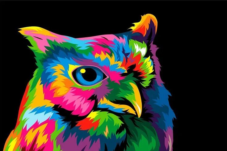 Радужные животные картинки Owl colorful popart vector artwork Vector artwork, Pop art, Pop art animals