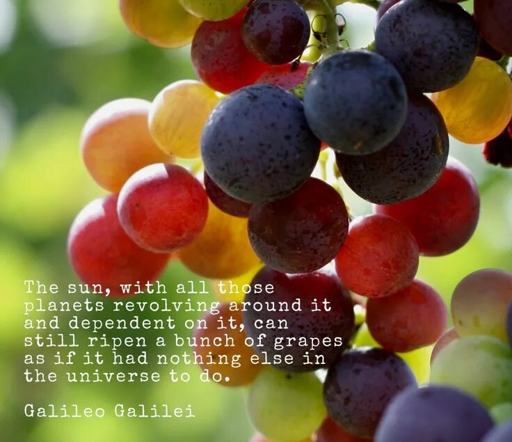 Радужный виноград фото Galileo Galilei, born on this day in 1564 (Feb. 15th) reminds us of the beauty i