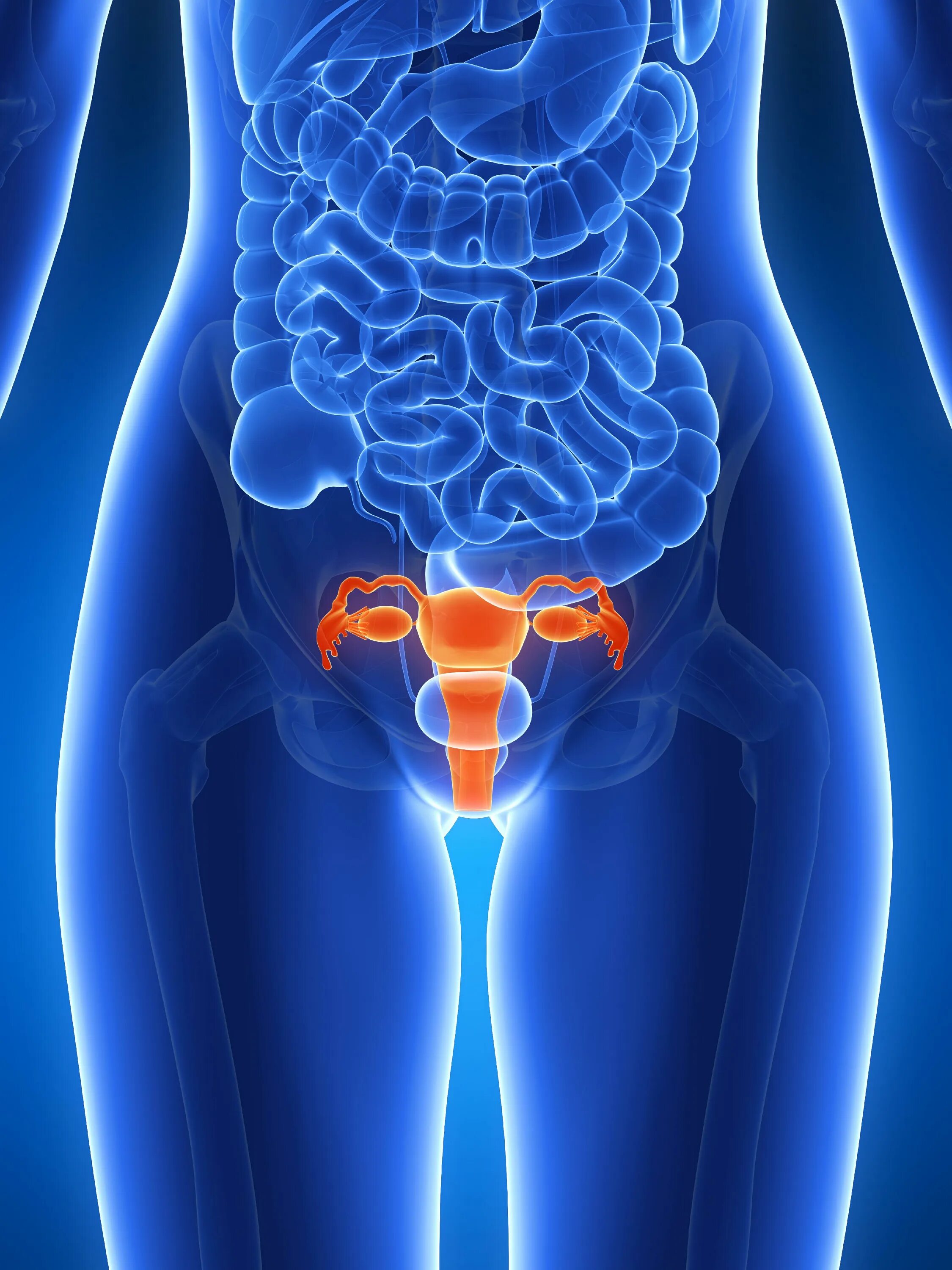 Рак половой губы симптомы и признаки фото Cervix Disorders Cervicitis Cervical Polyp MedlinePlus