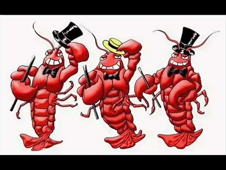 Рак смешное фото Gay Lobsters - YouTube