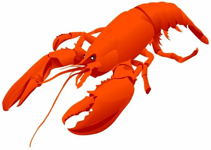 Рак животное картинка Clip art lobster clipart clipart Clip art, Red lobster, Lobster