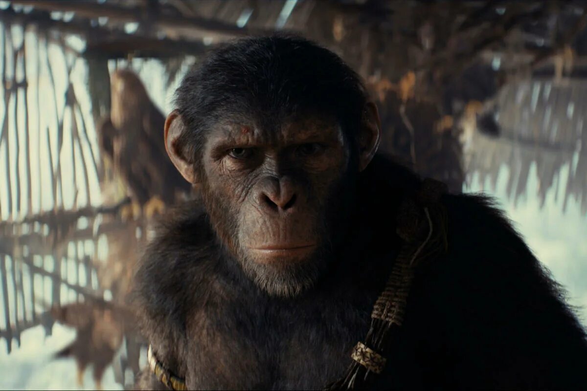 Ракета из планеты обезьян фото Kingdom of the Planet of the Apes' ending, explained