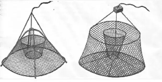 Раколовка своими руками схема размеры Особенности ловли раков - Охота и рыбалка - Медиаплатформа МирТесен