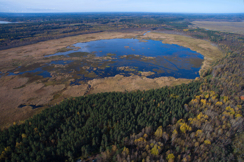 Раковые озера фото Государственный природный заказник Раковые озера, nature reserve, Ленинградская 