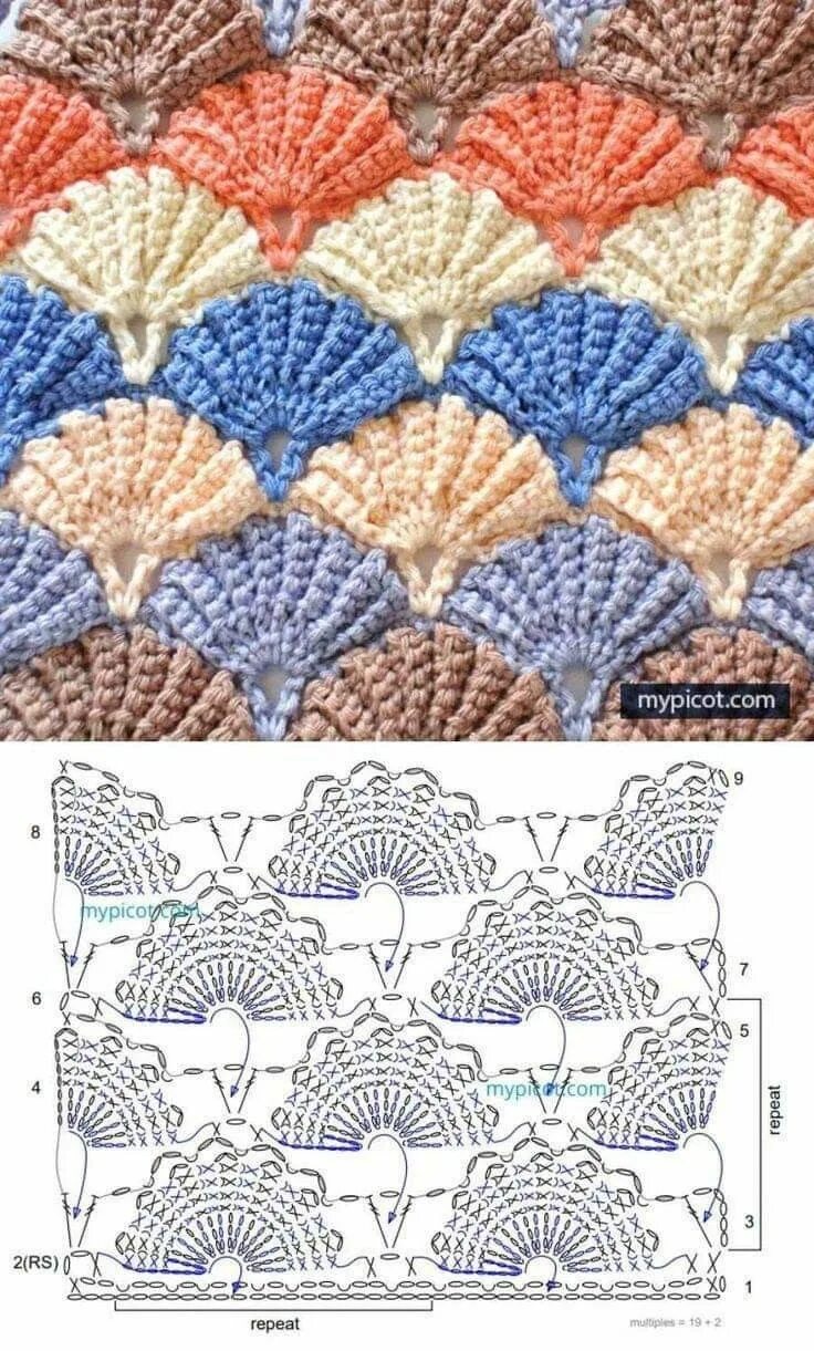 Ракушка крючком схема Pin by Giovanna Francesca Urbano on motivi Crochet shell stitch, Crochet chart, 