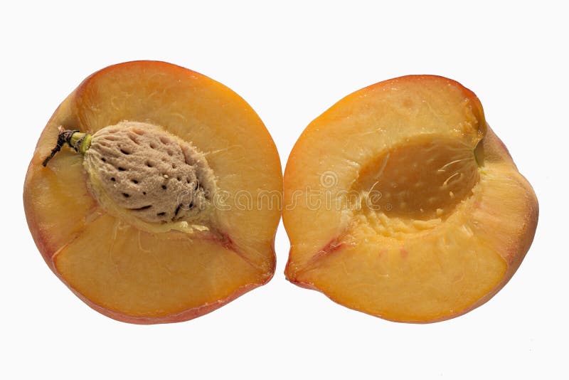 Ракушка персик фото The Peach Halves with Bone on a White Background Stock Image - Image of health, 