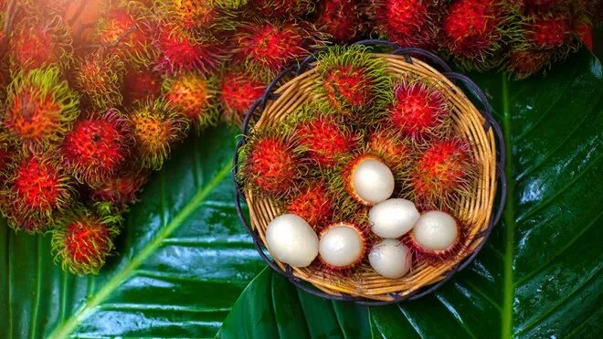 Рамбутан фрукт фото K2607 Vietnam Tropical Fresh Fruit - Sweet Rambutan Fruit - Buy Vietnam Fresh Ra