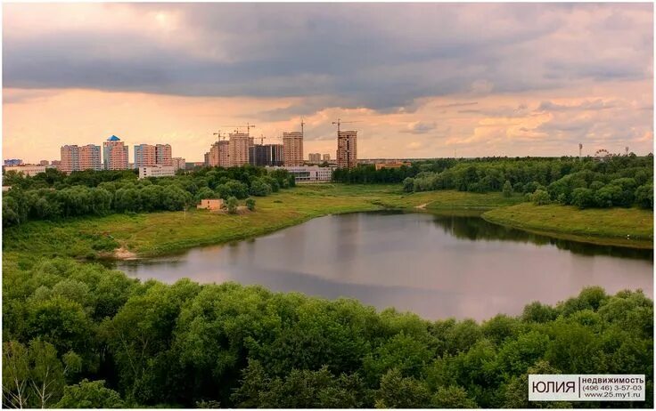 Раменское московская область фото города Раменское - Московская обл. Город, Недвижимость, Леса