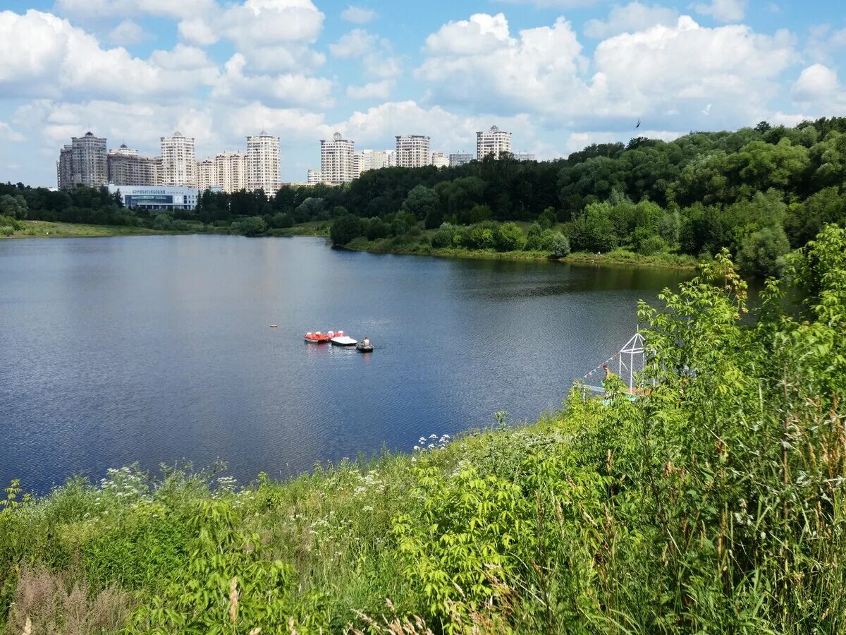 Раменское озеро фото Почему нам всем пора в парк подмосковного города Раменское... Васильки и дальняя